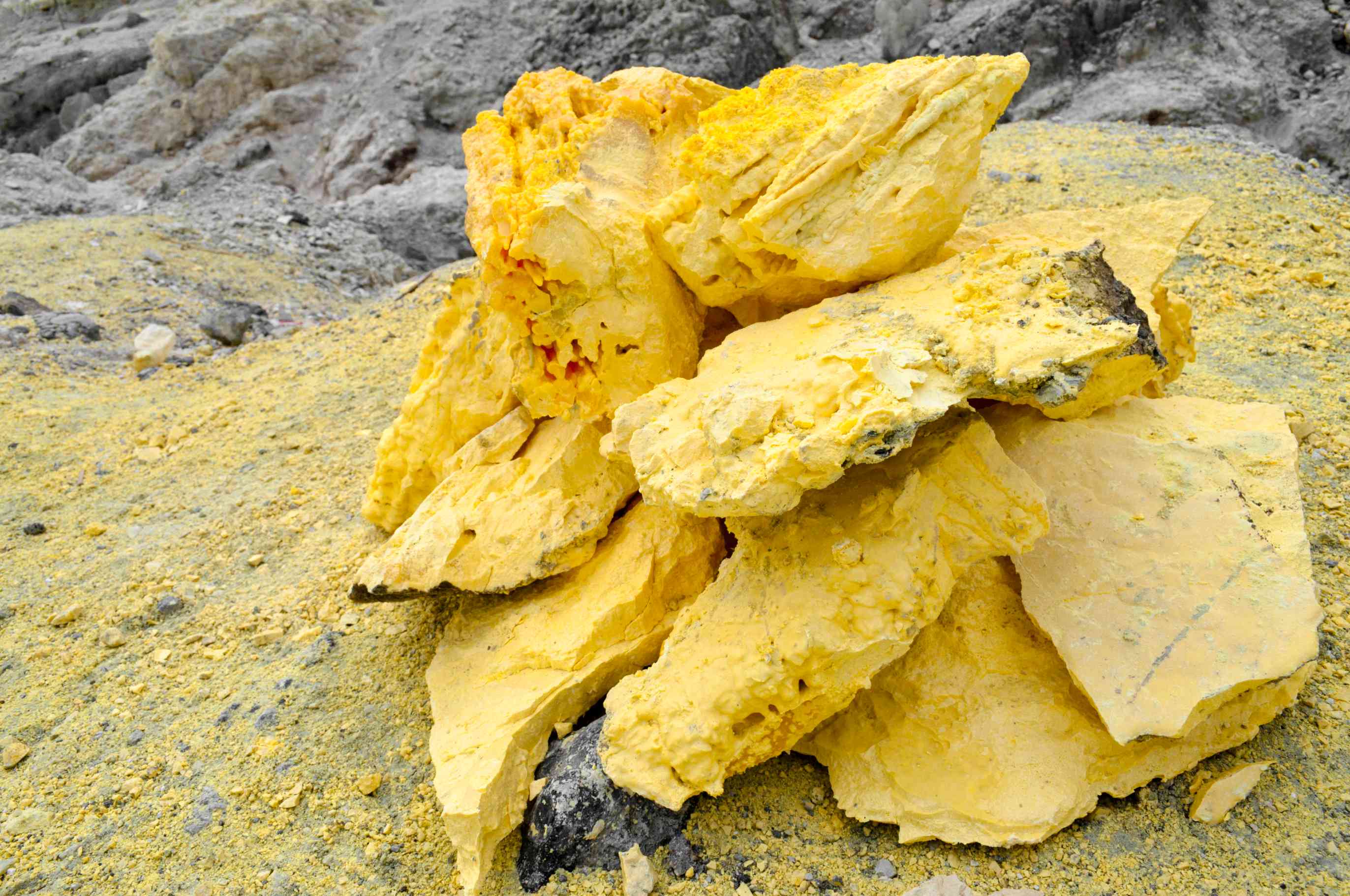 Halogen/Sulfur Content
