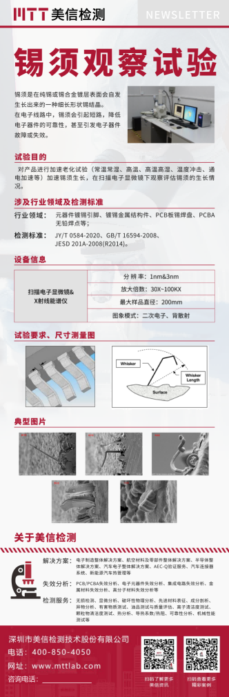 锡须观察试验.png
