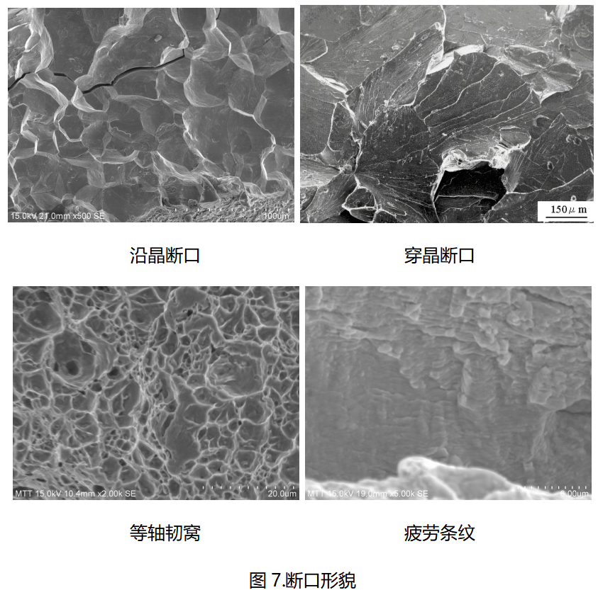 伟德体育世界杯断口形貌对比分析：沿晶断口、穿晶断口、韧窝与疲劳条纹SEM显微图